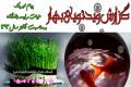 گزارش ویدئویی بهار/ پیام تبریک هیأت رئیسه دانشگاه به مناسبت آغاز سال 1393