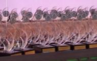گزارش ویدئویی مراسم تجلیل از فعالان فرهنگی برتردانشگاه صنعتی اصفهان